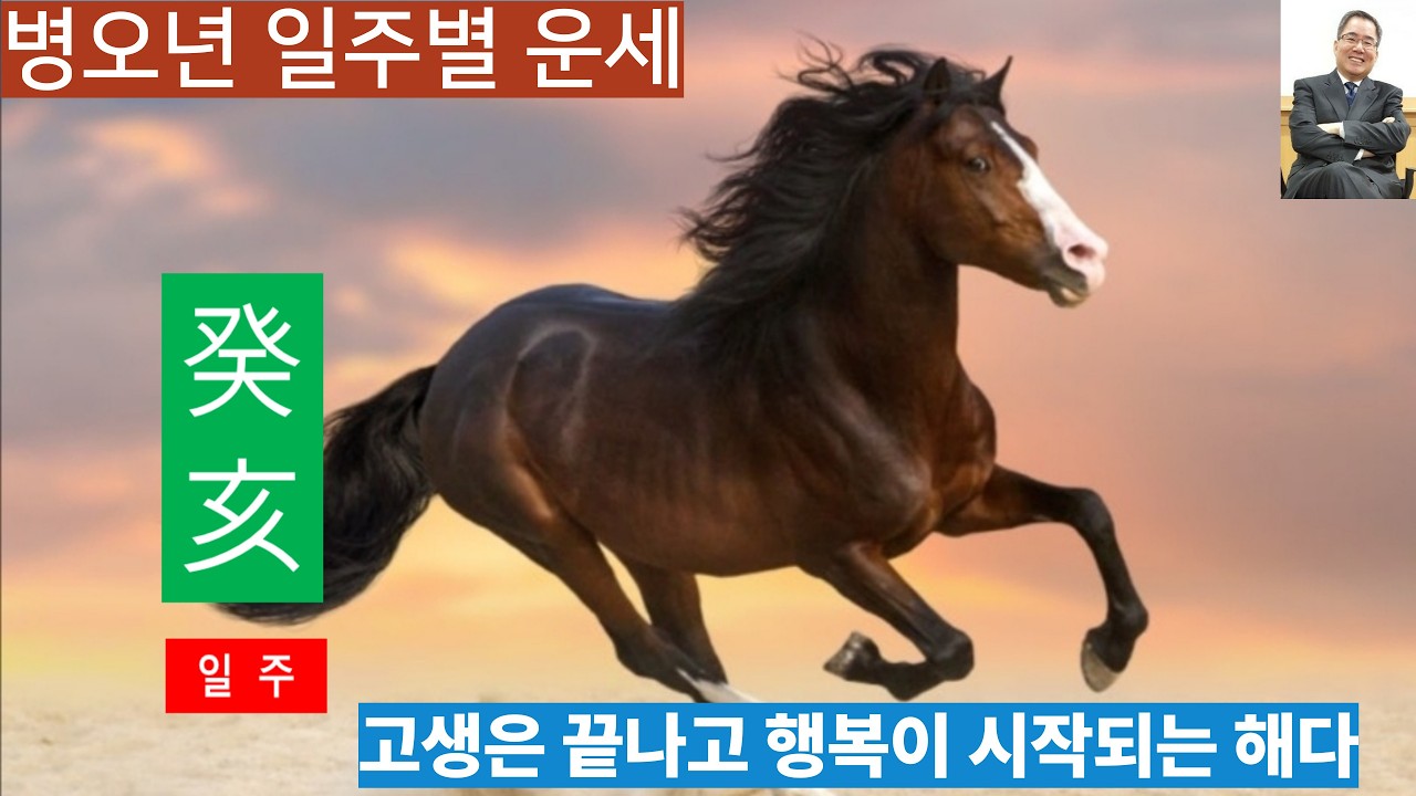 병오년운세ㅣ 계해일주, 고생 끝 행복 시작 !!!