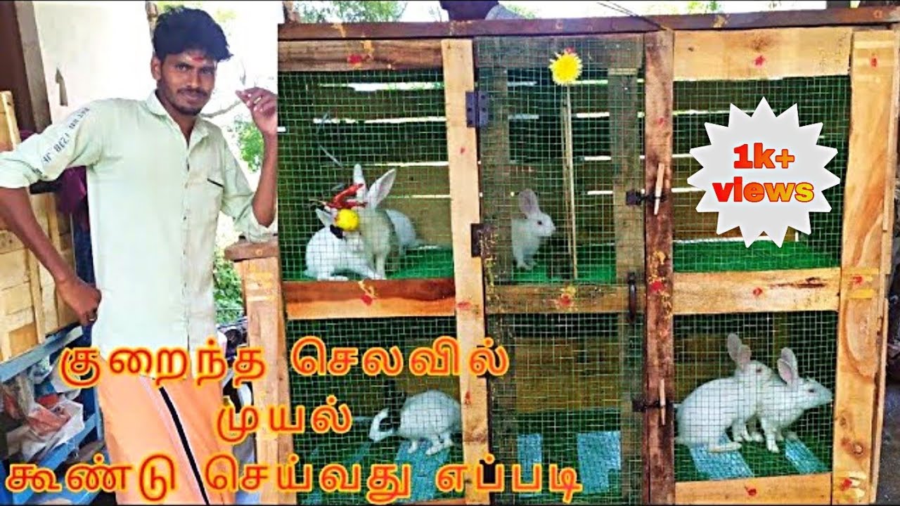 முயல் கூண்டு செய்வது எப்படி//rabbit cage making at home//low cost rabbit cage making#vengat_creation