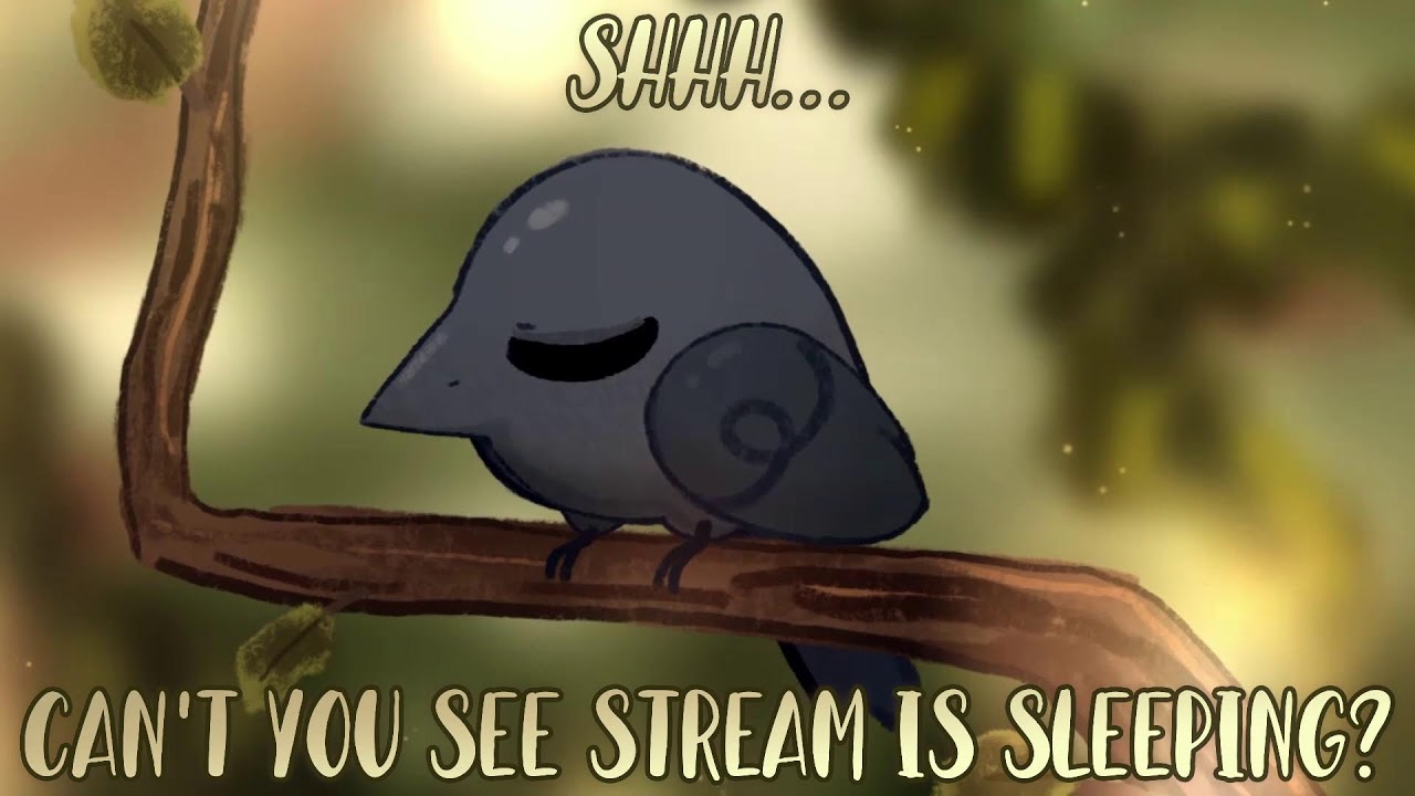 LIVE STREAM: CODENAMES and SALEMS and AMOGIES