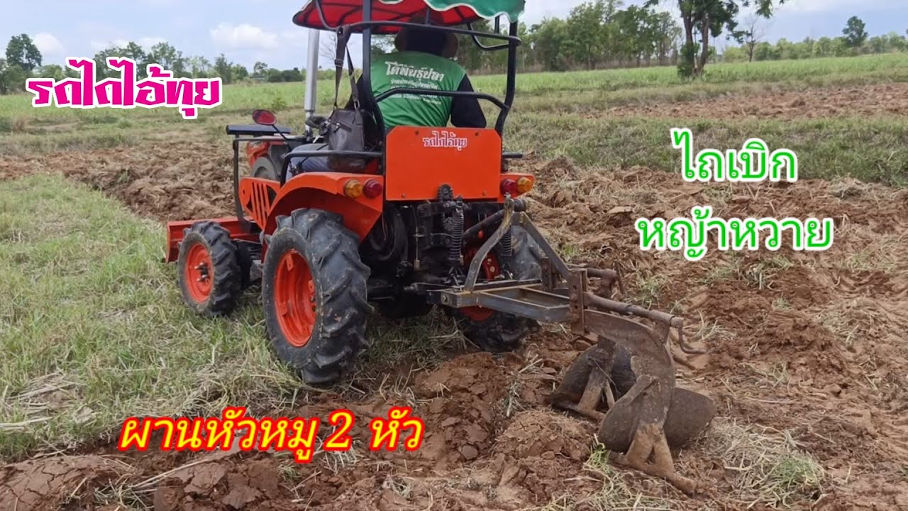 ไถเบิกผานหัวหมู 2 หัว EP.2