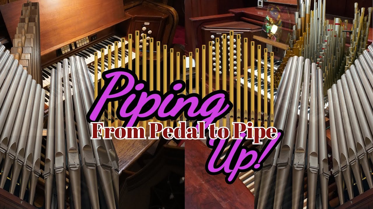Piping Up! The Grand Finale: Elm Park’s Historic Pipe Organs Unveiled