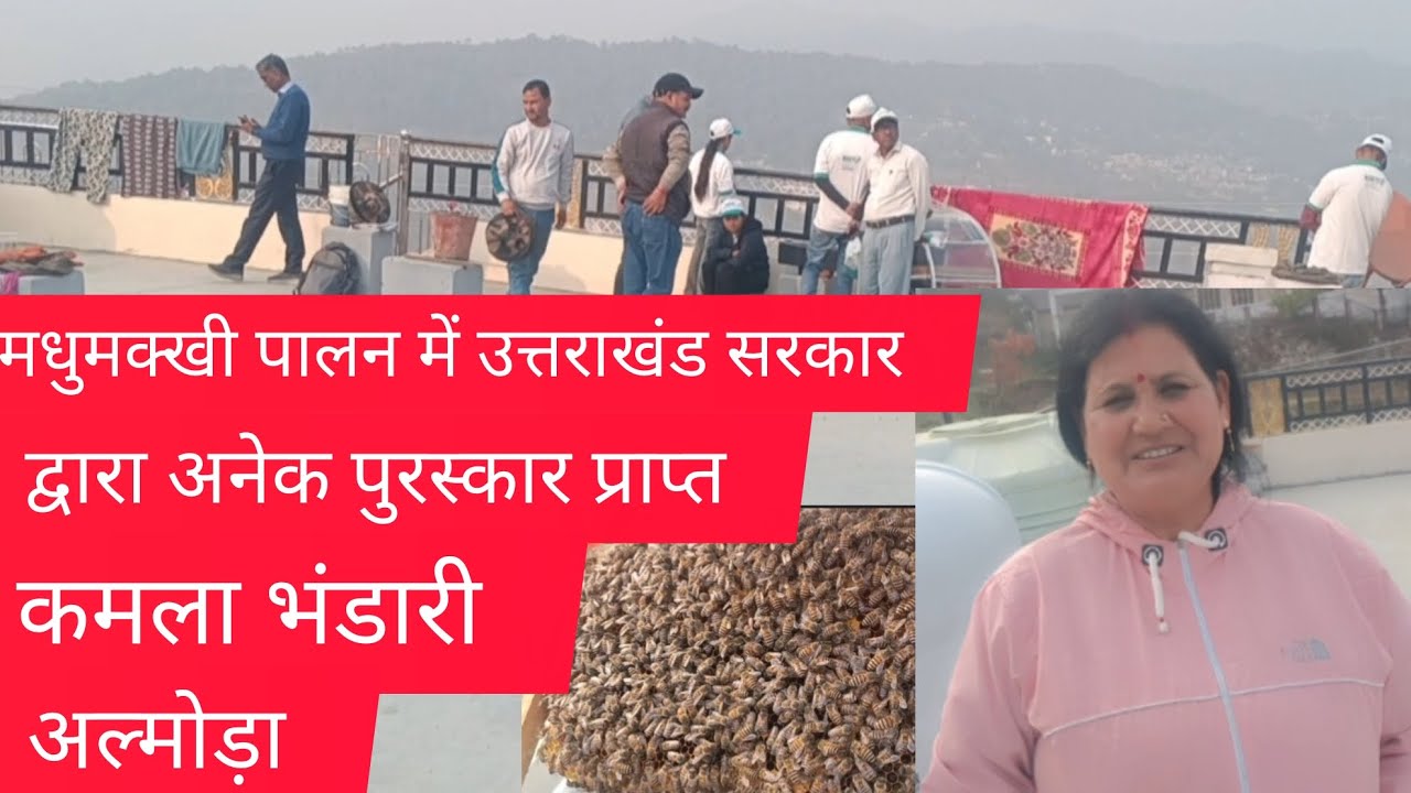 मधुमक्खी पालन क्षेत्र में कमला भंडारी द्वारा प्रशिक्षण ( खत्याड़ी )|Beena Mehta | Vlogs#almora (uk)