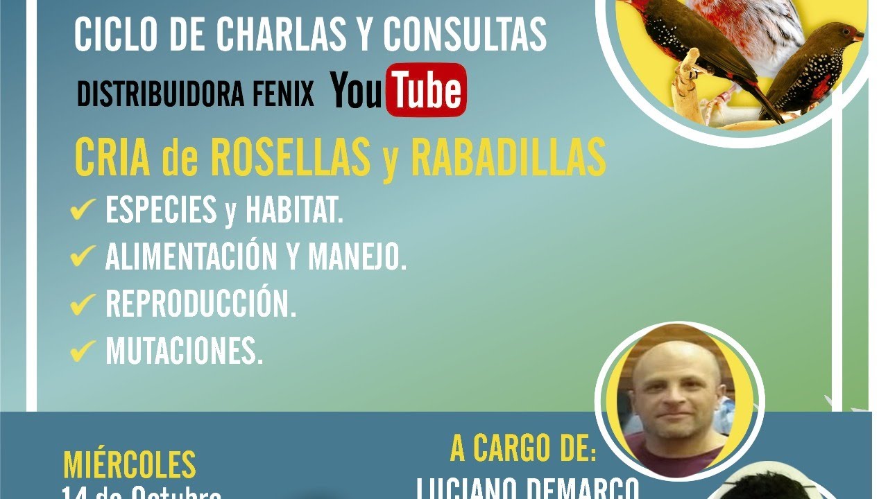 Rosellas y Rabadillas - Parte II - Luciano Demarco y Diego Grenat - DISTRIBUIDORA FENIX