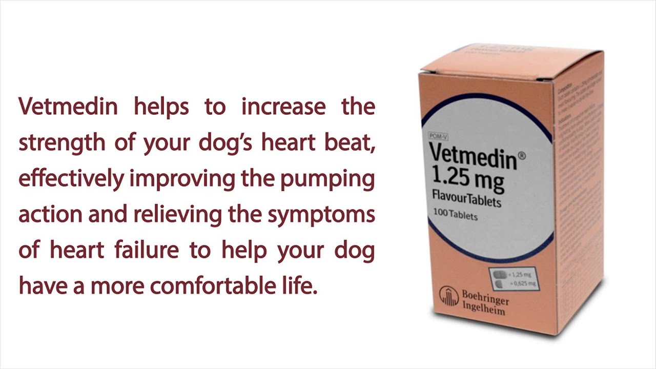 Vetmedin Chewable Tablets for Canine Congestive Heart Failure