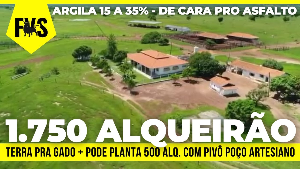 DE 110 POR R$ 90 MILHÃO - FAZENDA COM 1.000 ALQ. PLANOS EM GOIÁS - É TERRA PRA GADO E LAVOURA