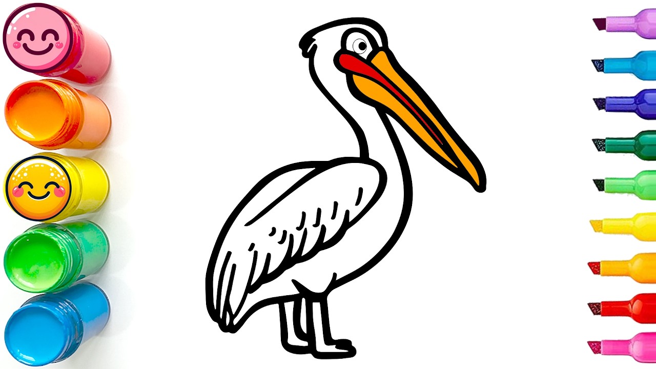 Drawing and Coloring a Cute Pelican | Easy Step by Step Drawing Tutorial for Beginners