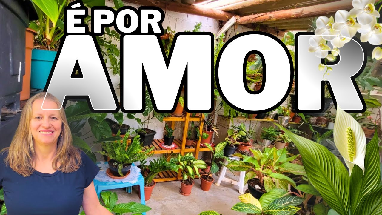 🌿 Reforma no Cantinho das Plantas e Verdade Sobre os 10K: YouTube Não é Fácil, Mas É Por Amor
