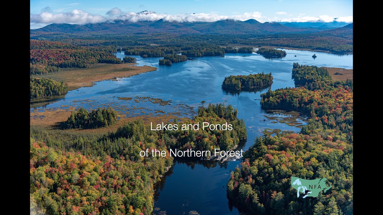 Lakes and Ponds 4k 110521