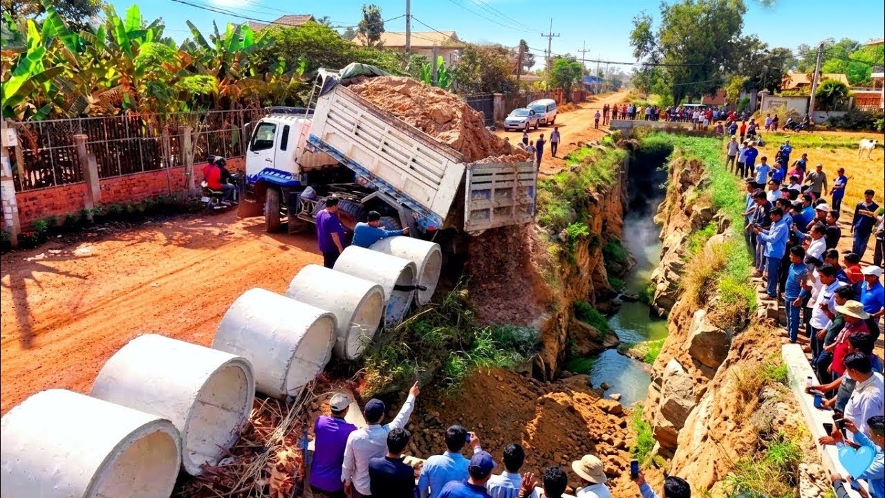 First Start Amazing New Project! Watch 8-T Dump Truck Unloading Soil & Bulldozer Pushing Soil After 