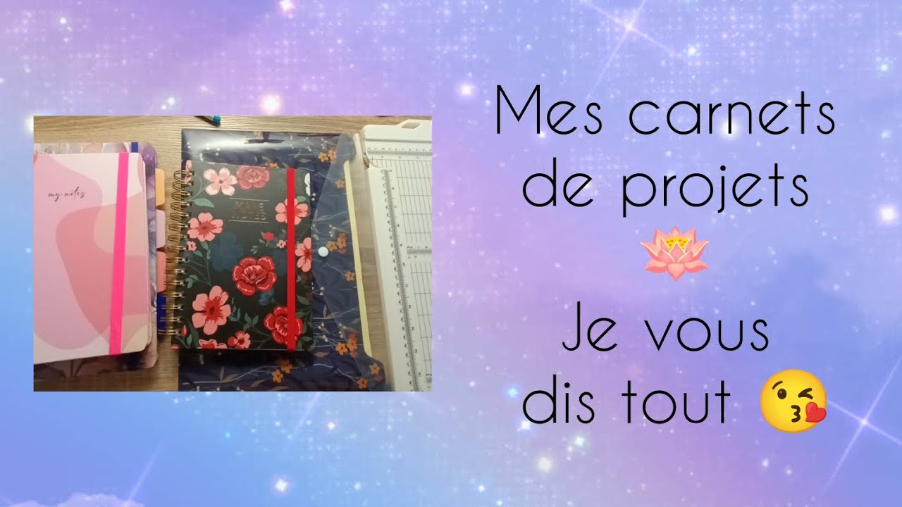 💖 Mes carnets de projets 💖 Tout, tout, tout, vous saurez tout..  sur les carnets 😂🤪😘😘 #crossstitch 