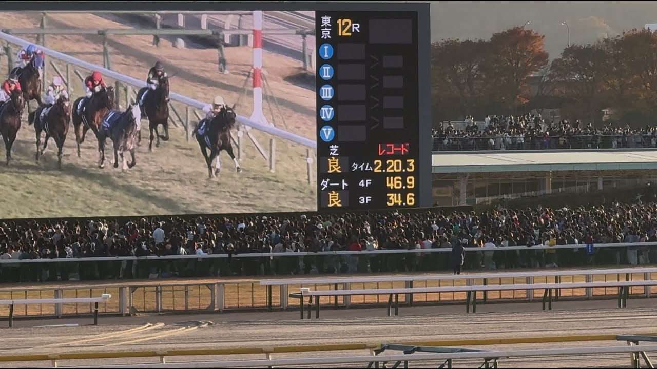 【衝撃の世界レコード】欧州最強馬カランダガンがマスカレードボールとの叩き合いを制す！【ジャパンカップ2025 現地直線レース映像】