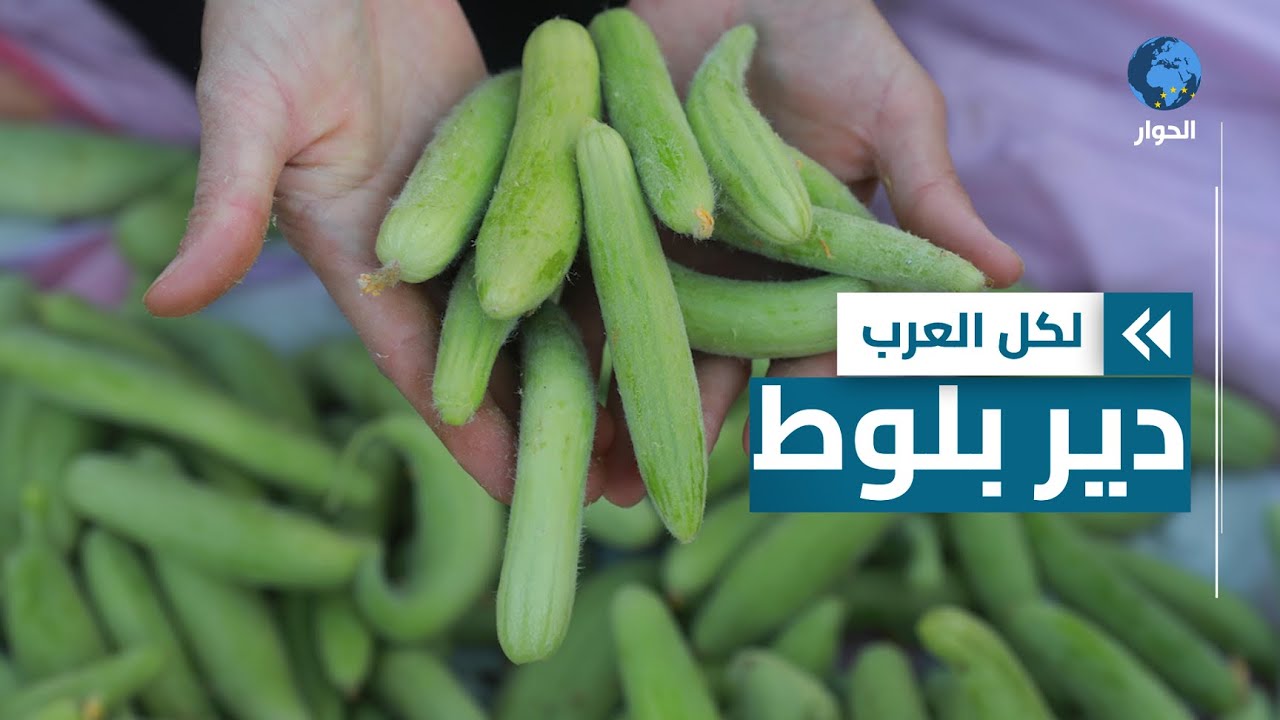 قصة بلدة 