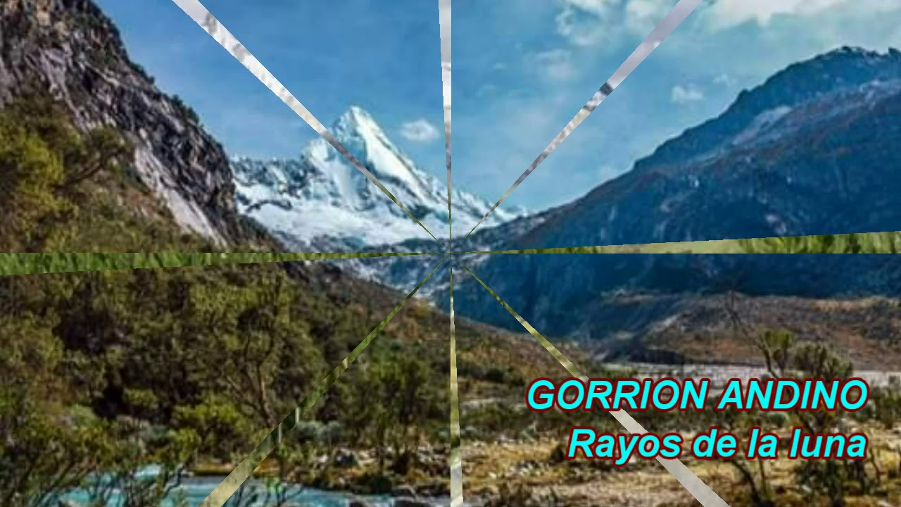 GORRION ANDINO - RECUERDOS - A los rayos de la luna