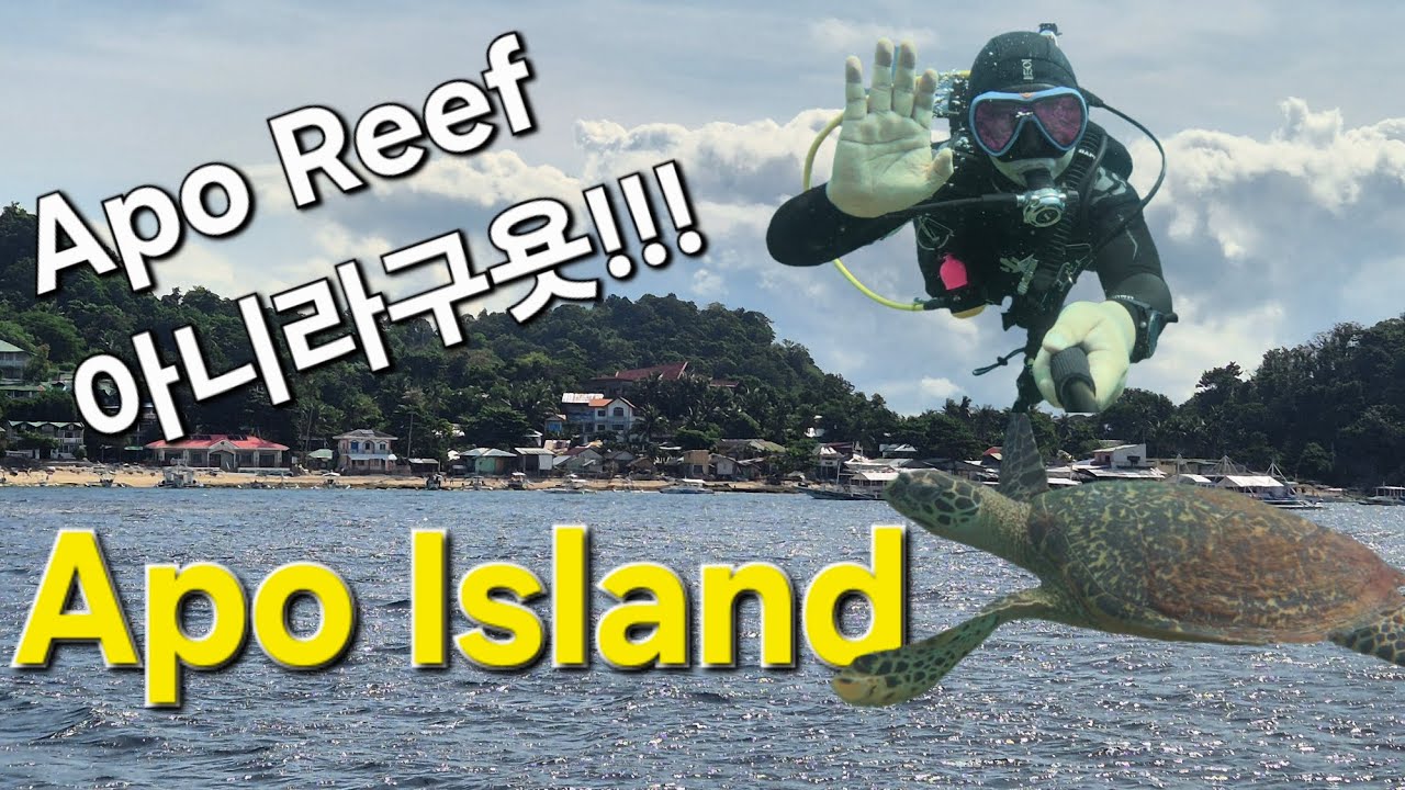 두마게티 아포섬(feat. Kims Dive Resort in Dumaguete)