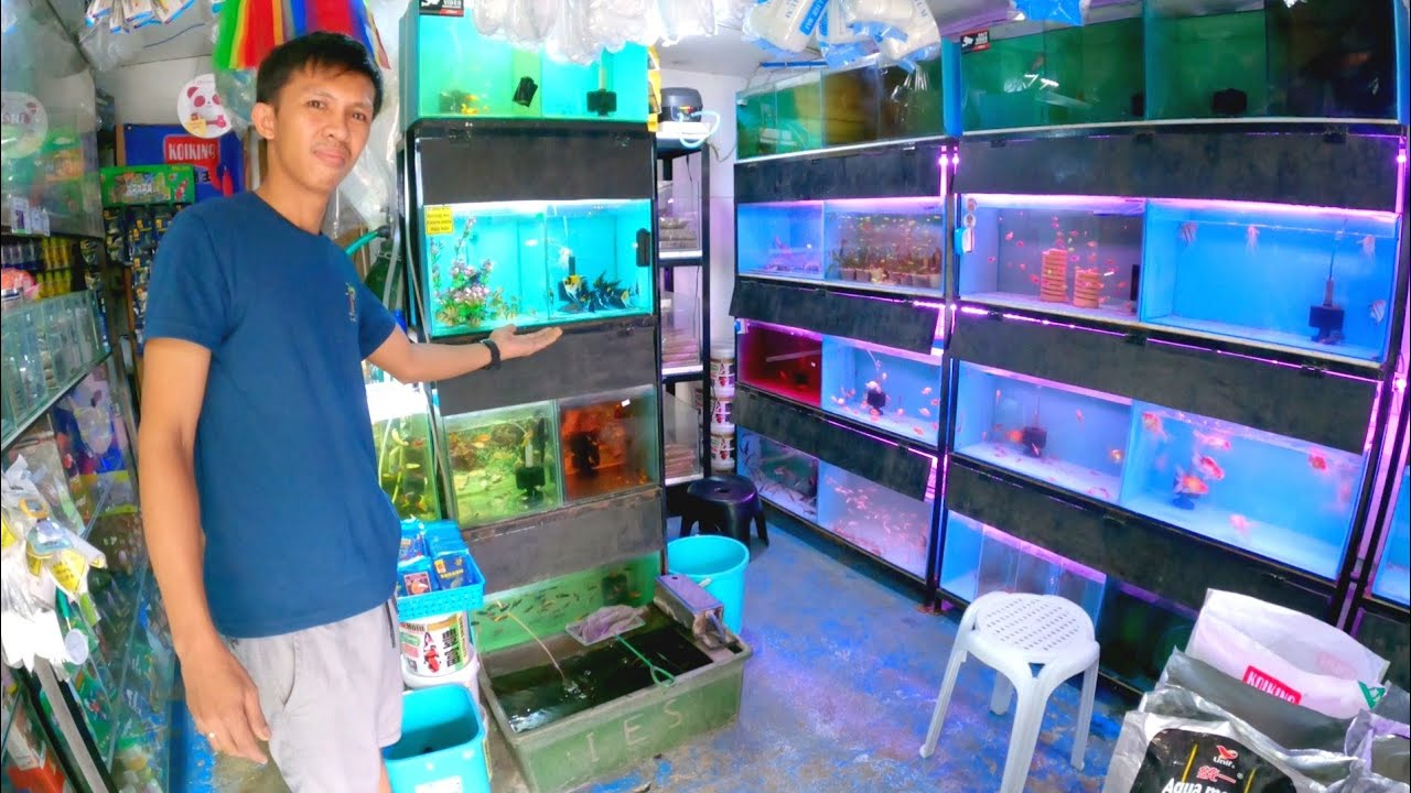 From aqua fish Street vendor to successful pet shop owner