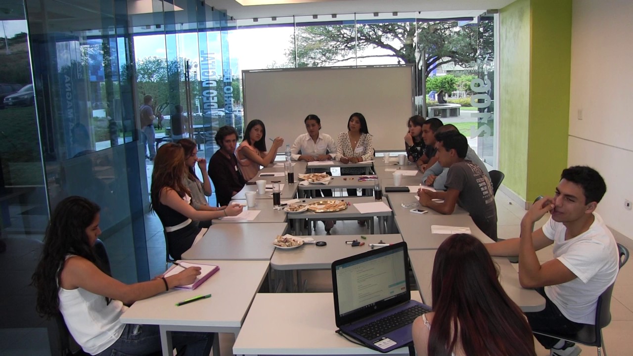 FOCUS GROUP TuLern PARTE 2