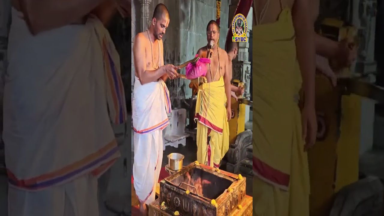 యాదాద్రి వైభవం | Yadadri Vaibhavam | SYBC