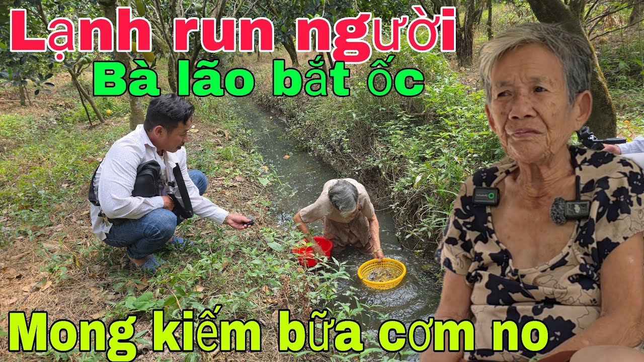 Giữa cái lạnh run người Bà lão  80  tuổi  mò cua bắt ốc mong kiếm bữa cơm no. | Nghĩa Phước vlog 