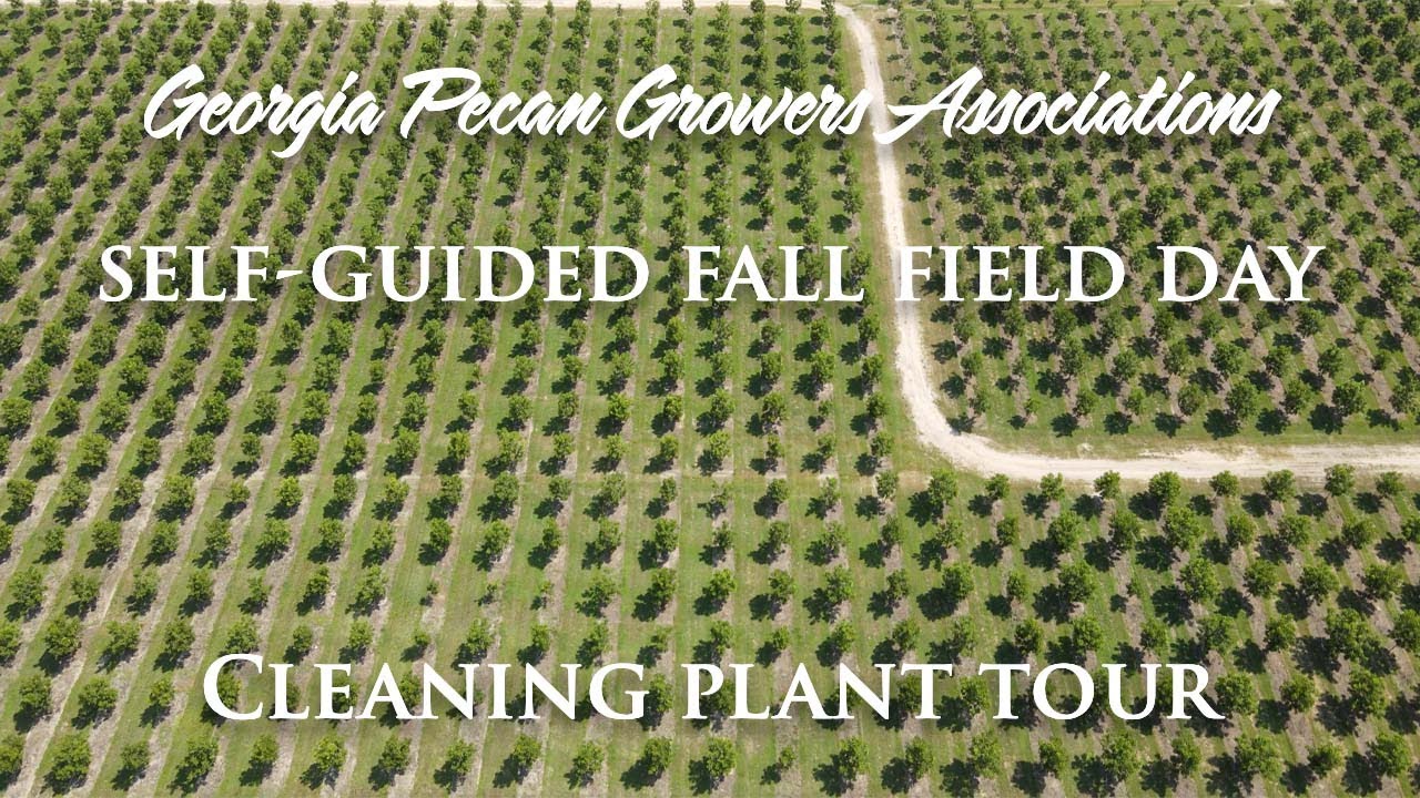 Fall Field Day - Cleaning Plant Tour