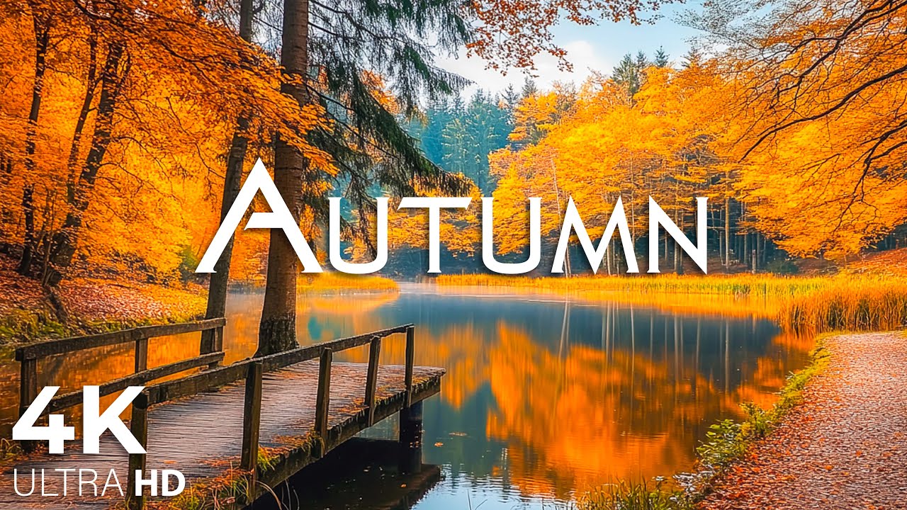 Чарующие осенние леса под красивую фортепианную музыку🍁Осенняя атмосфера 4K и осенняя листва #20