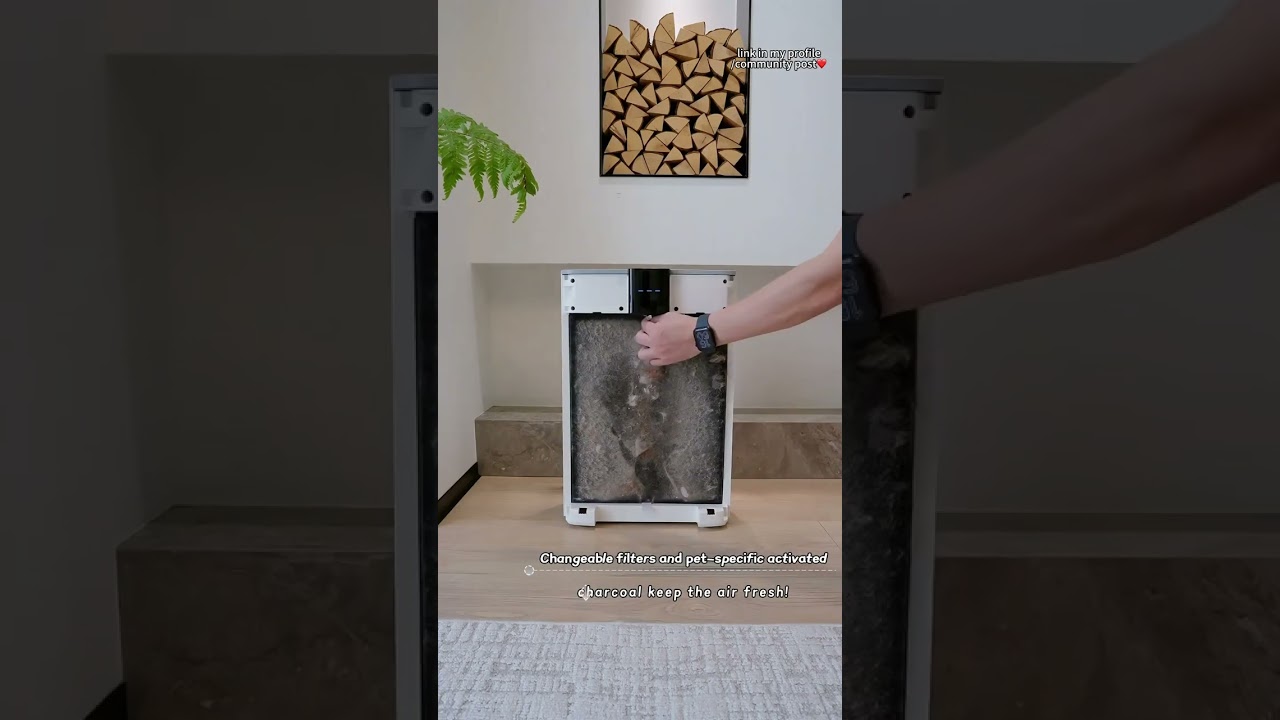 🐾✨ Say goodbye to pet hair and odors! This purifier is a game changer for pet owners!