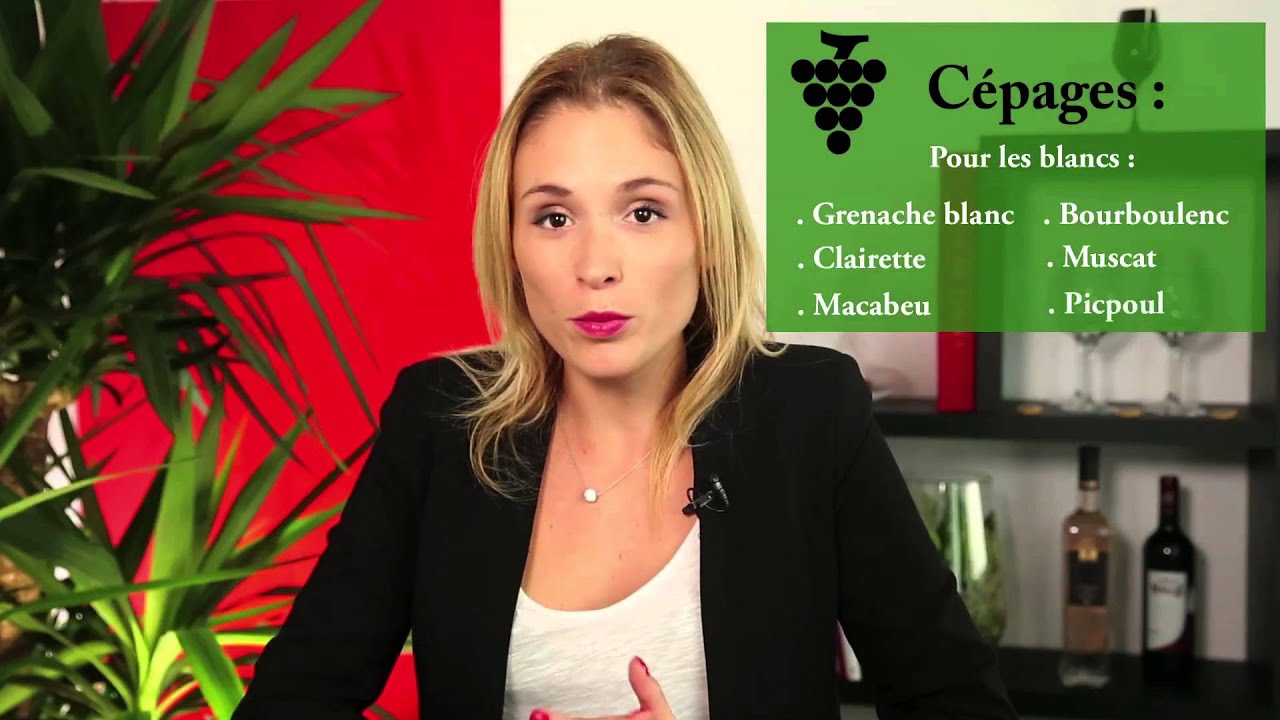 Présentation région Languedoc-Roussillon