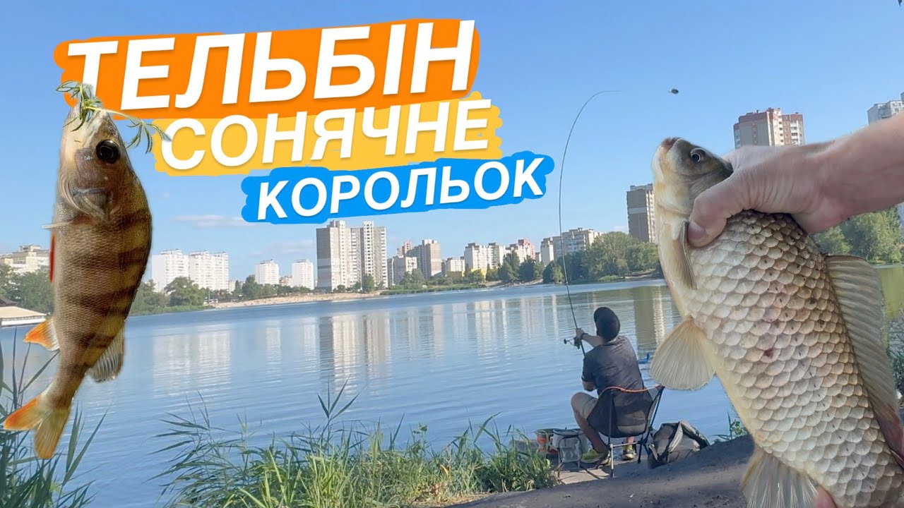 КАРАСЬ під кіло і скажений БИЧОК! 🎣 Київські озера. КЛЮВАЛО майже в закид, але не всюди 😬 #фідер