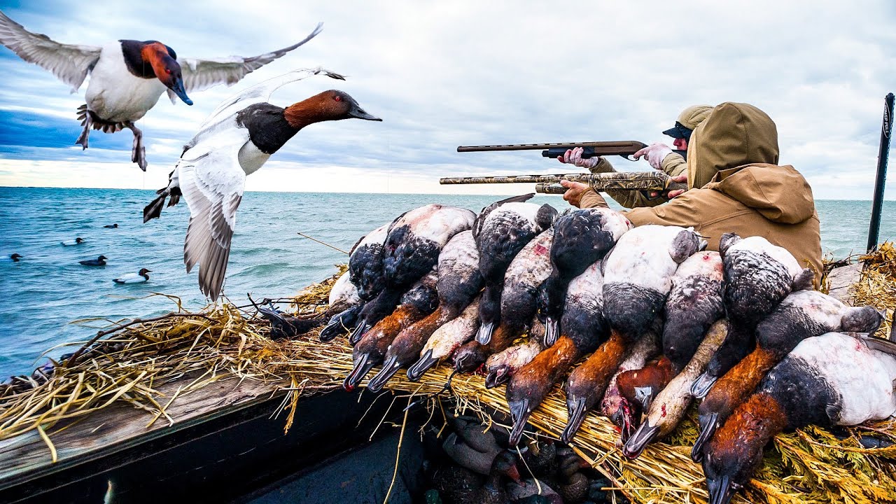 2 DAYS ONTARIO CANVASBACK COVER BOAT DUCK HUNTING!