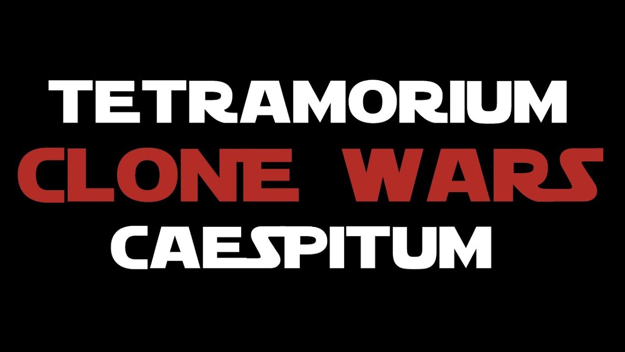 🐜 Tetramorium ceaspitum - Wojny Klonów