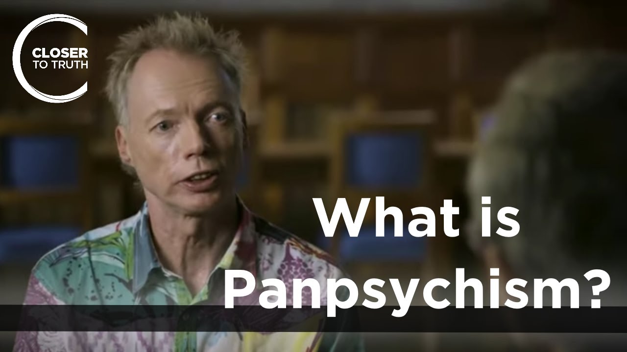 Andy Clark - What is Panpsychism?