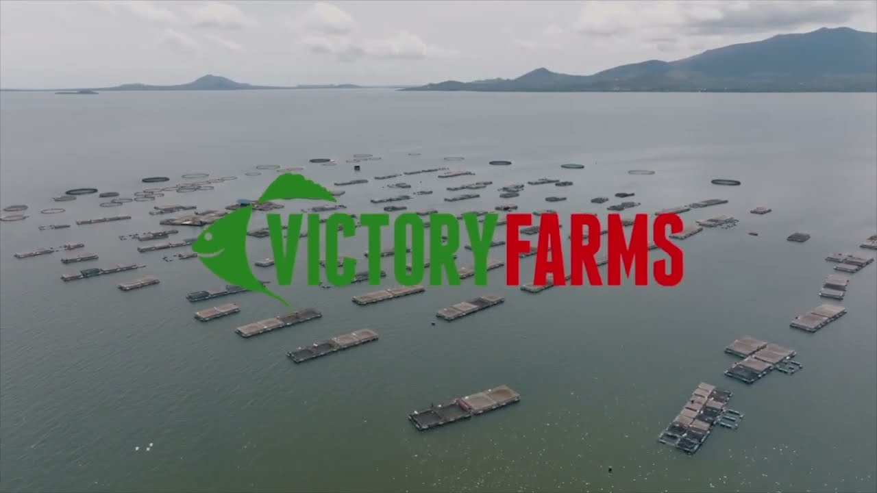 The story of Victory Farms: Sub-Sahara Africa's Fastest Growing Fish Farm