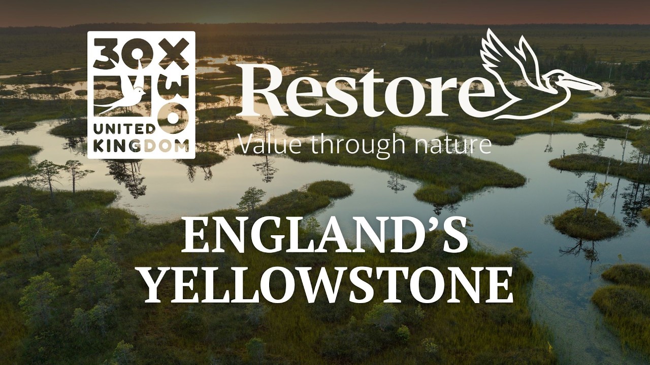 England's Yellowstone: Nature-positive business leadership opportunity