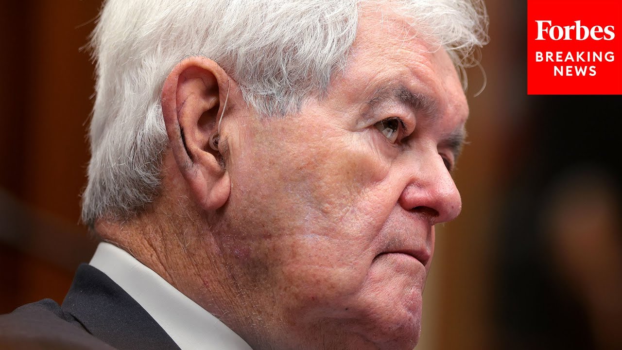 Gingrich Makes The Case For Ending Birthright Citizenship For Children Of Illegal Immigrants Will