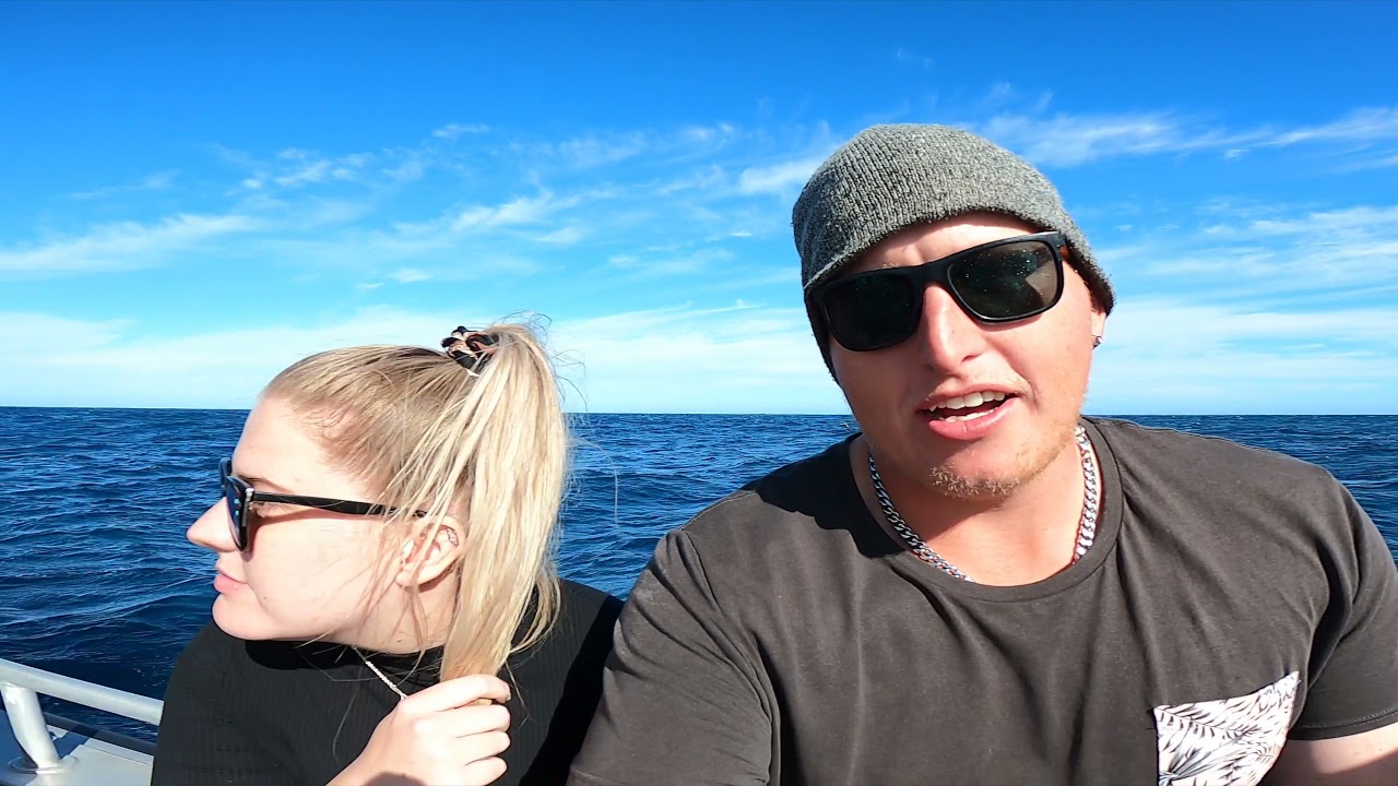 Bremer Bay - Killer Whale experience