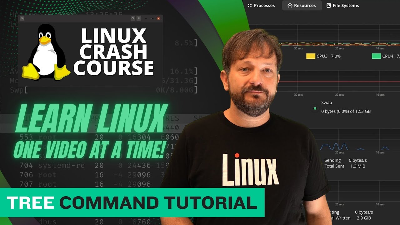 Unlock the Power of the Linux tree Command
