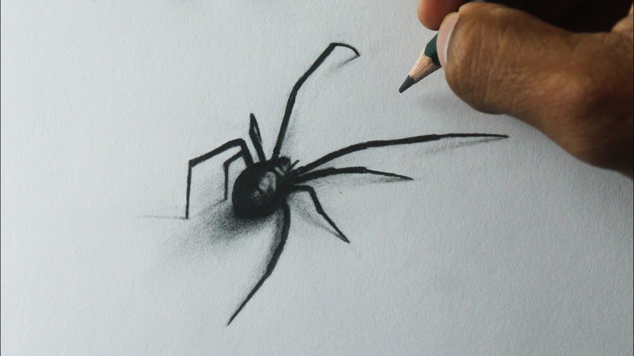 Como desenhar uma Aranha Viúva negra