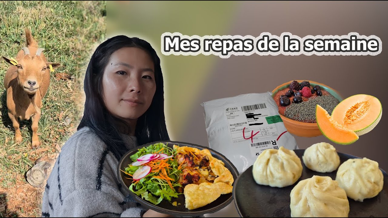Mes repas de la semaine, Retour de courses, Ouverture du colis, Pique-nique, Produit local...