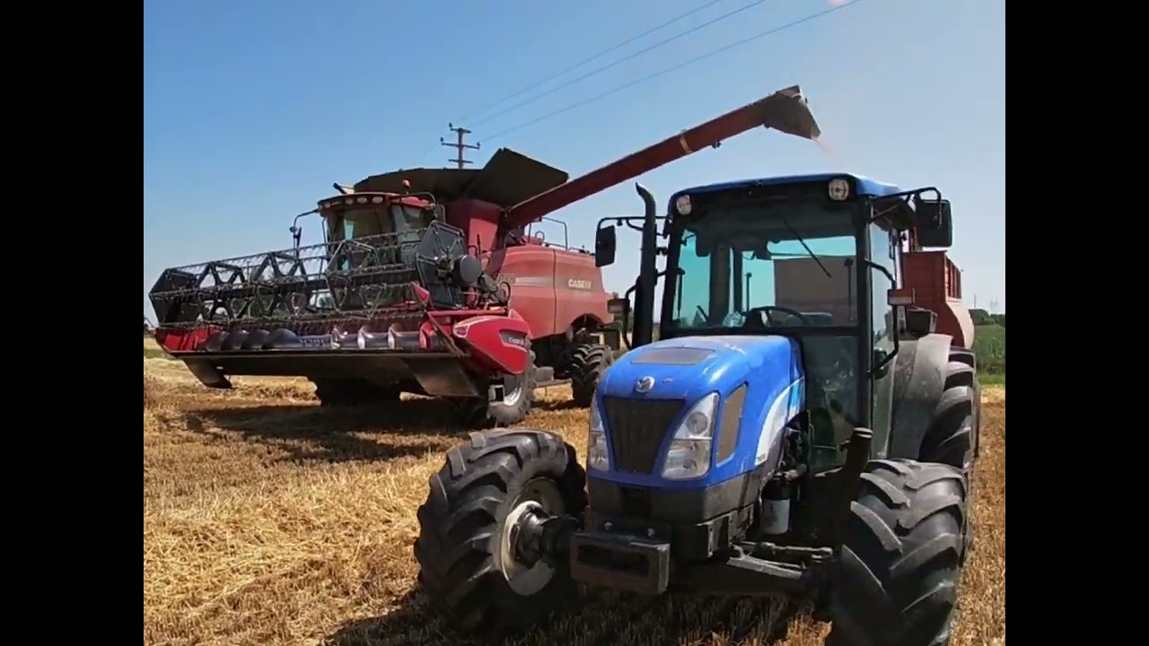 Trebbiatura frumento 2k22🌾 |trebbia case 7088 axial-flow|