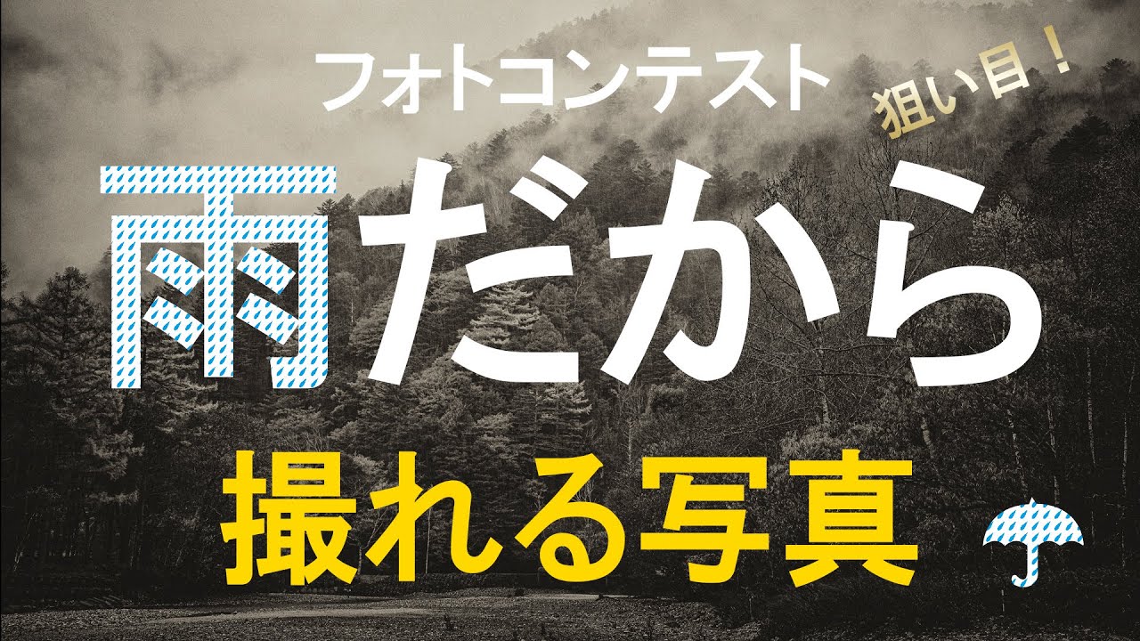 【フォトコンテスト・狙い目！】雨だからこそ撮れる写真！