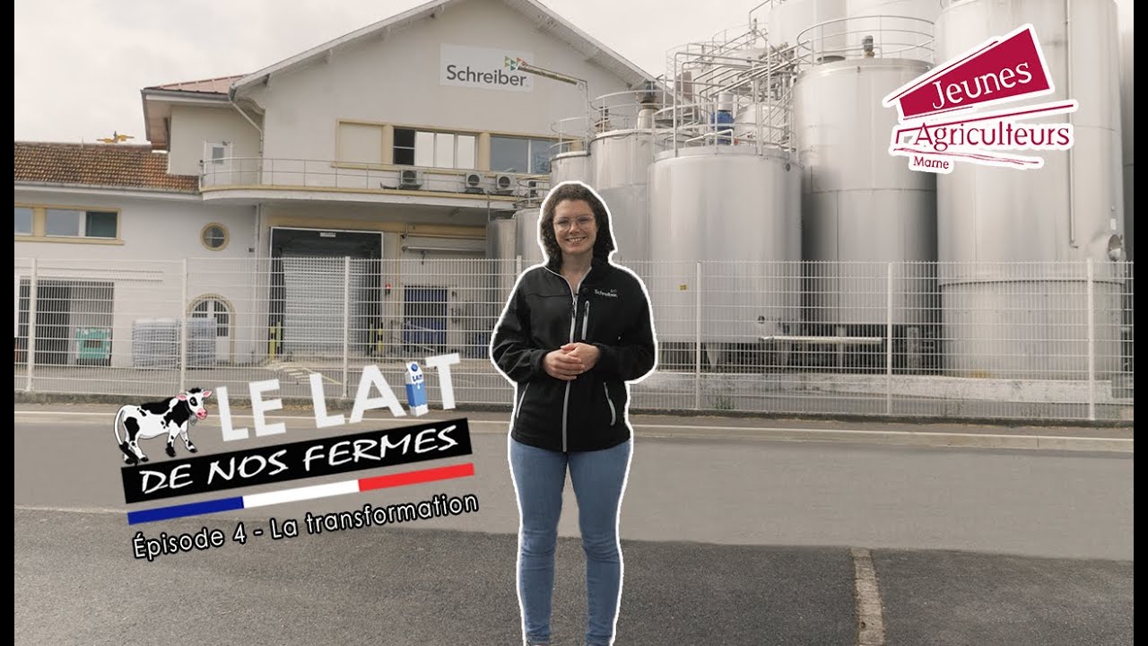 Le lait de nos fermes | Épisode 4 - la transformation