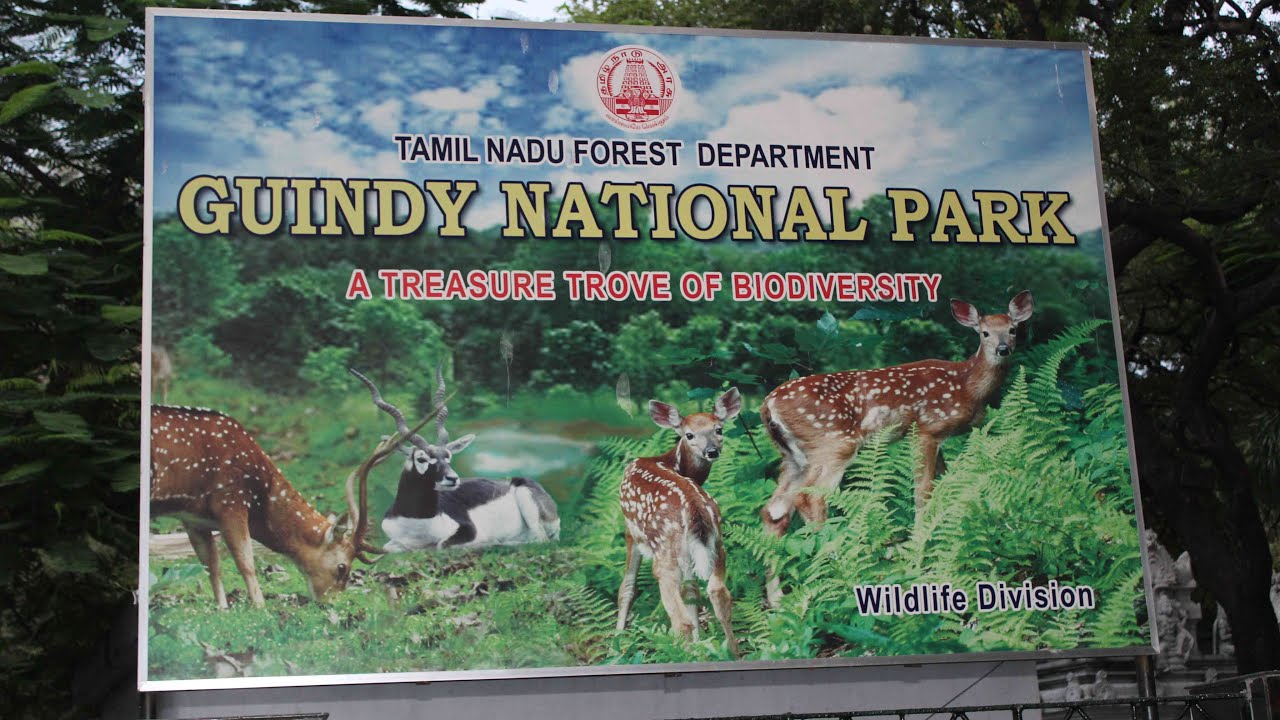 Exploring Guindy National Park,watch this video before you go