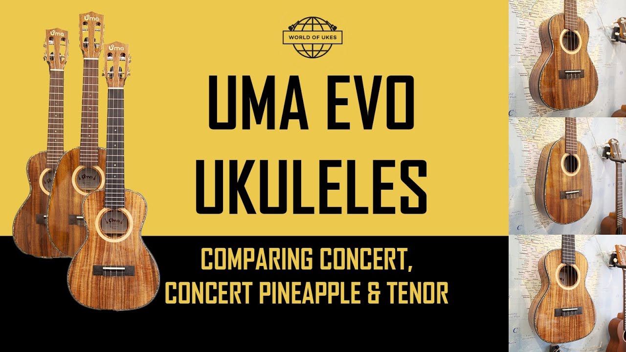 Comparing Concert, Pineapple and Tenor Ukulele Sizes