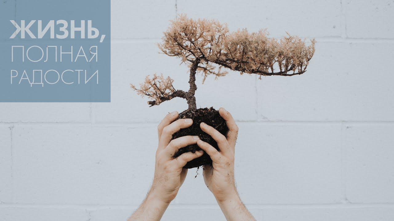 Джойс Майер: Воспряньте в надежде ч. 2