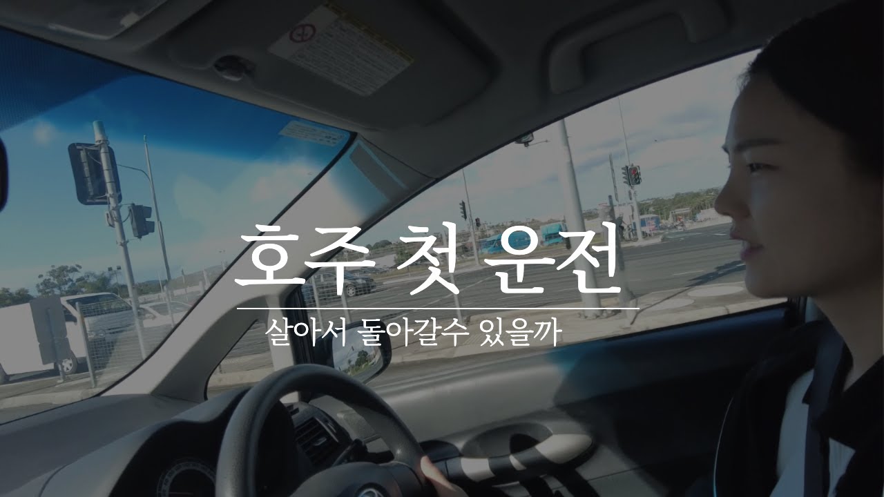 호주 운전연수 없이 첫 운전 하기! 한국면허 영문면허증 운전가능