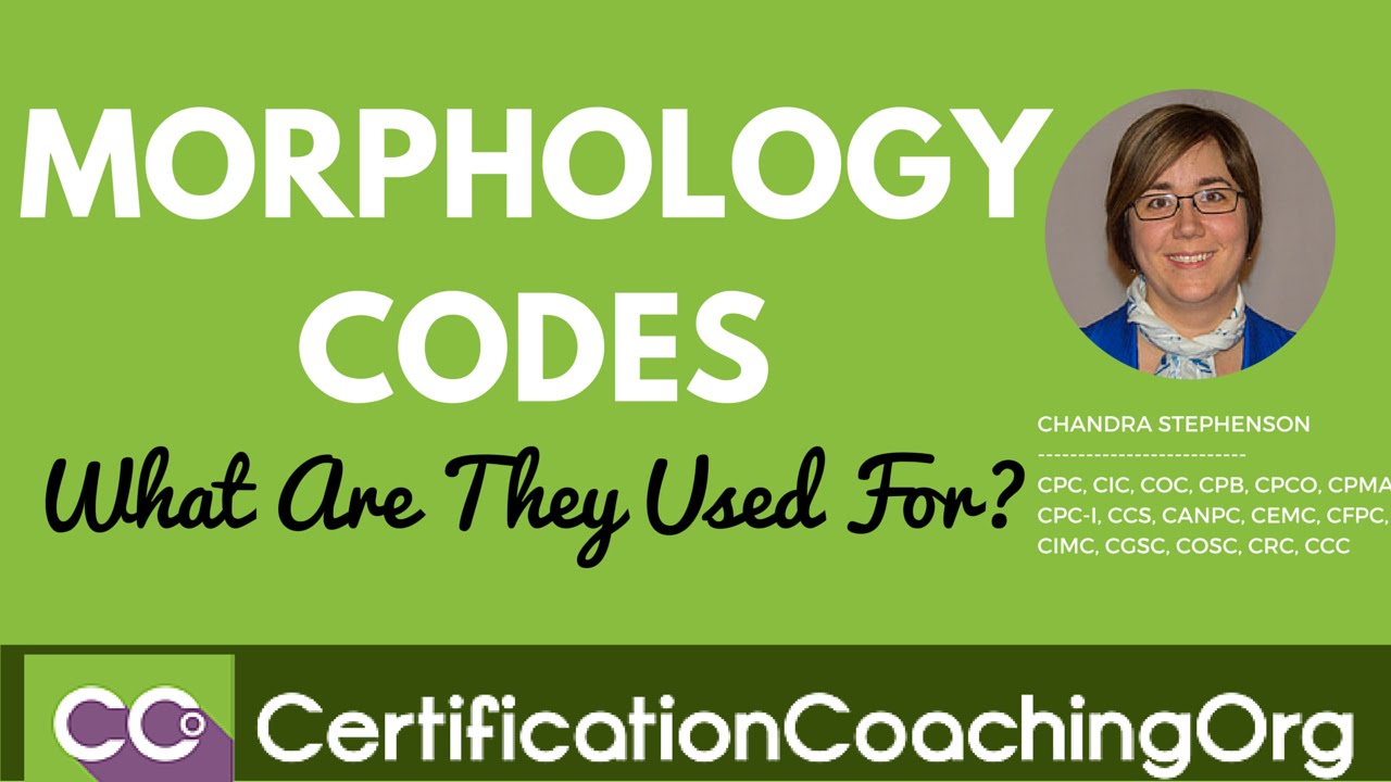 Morphology Codes &mdash; What Are They Used For?