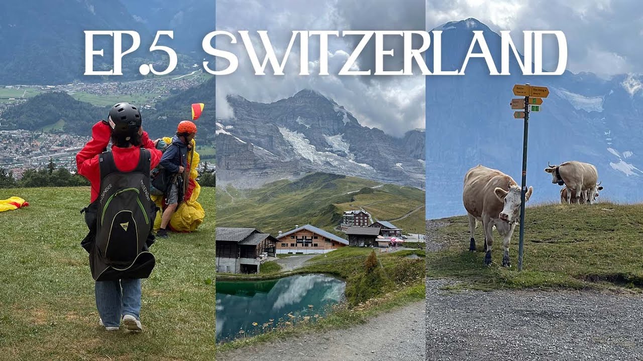 (sub)통장 털린 에메랄드 스위스🇨🇭융프라우 허탕치기, 파노라마 뷰 트래킹, 인터라켄에서 패러글라이딩, 뷰맛집 그린델발트 호텔