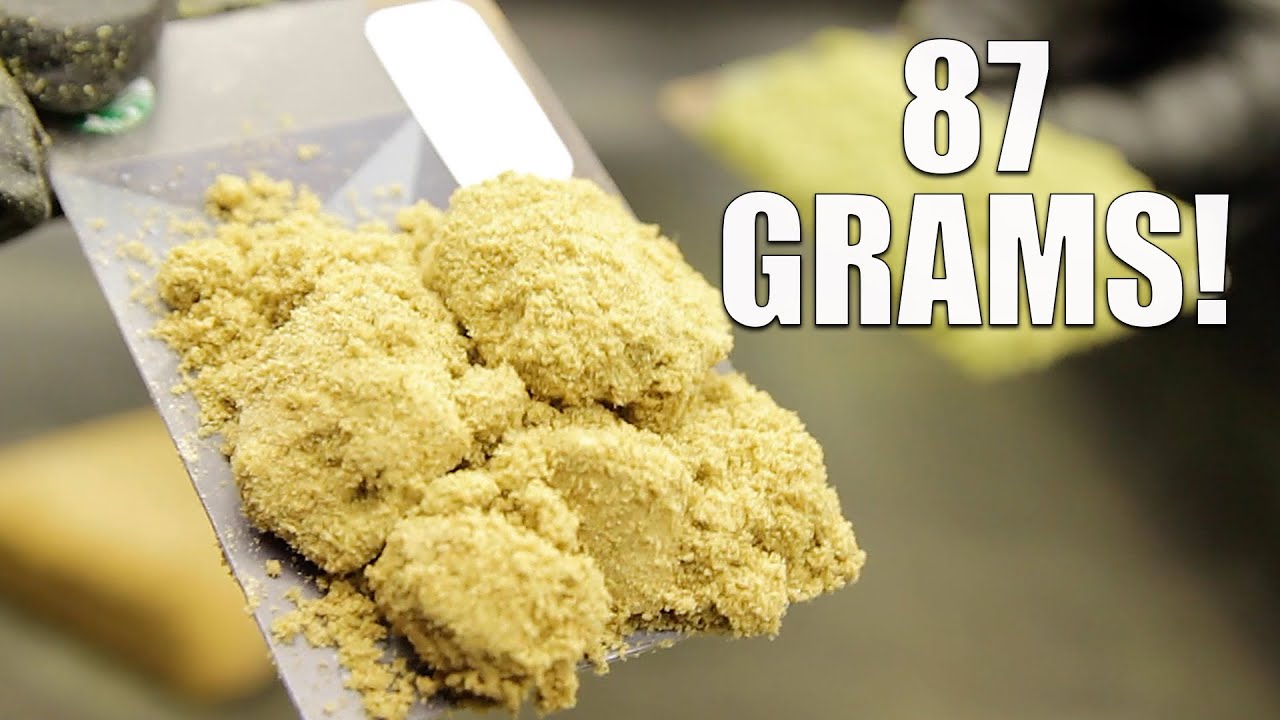 87 GRAMS OF DRY SIFT! Sifting Kief Makes For Some High Quality Extractions