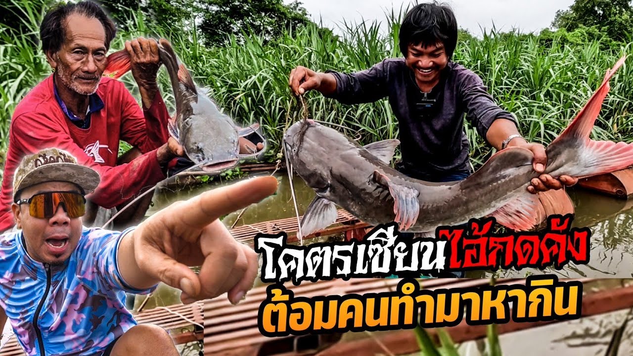 'ต้อม คนทำมาหากิน' โคตรเซียนปลากดคังตัวจริง!