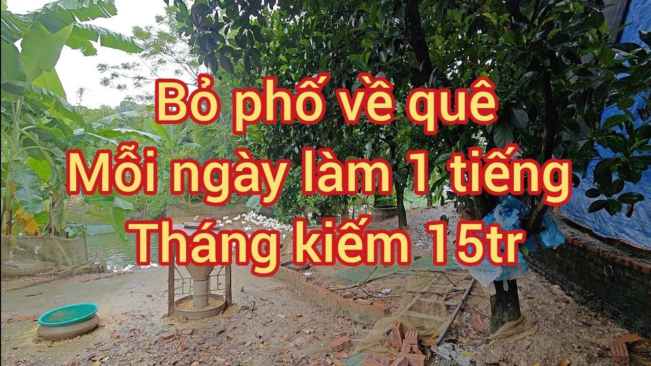 Mỗi ngày làm 1 tiếng đút túi 500k ae xe tham khảo lấy động lực về quê