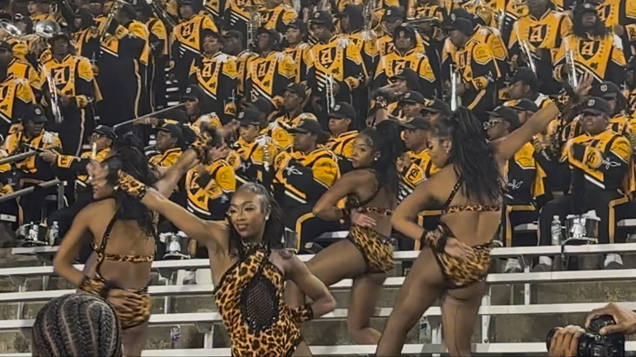 ASU Stingettes - Back At It (JSU ‘24)